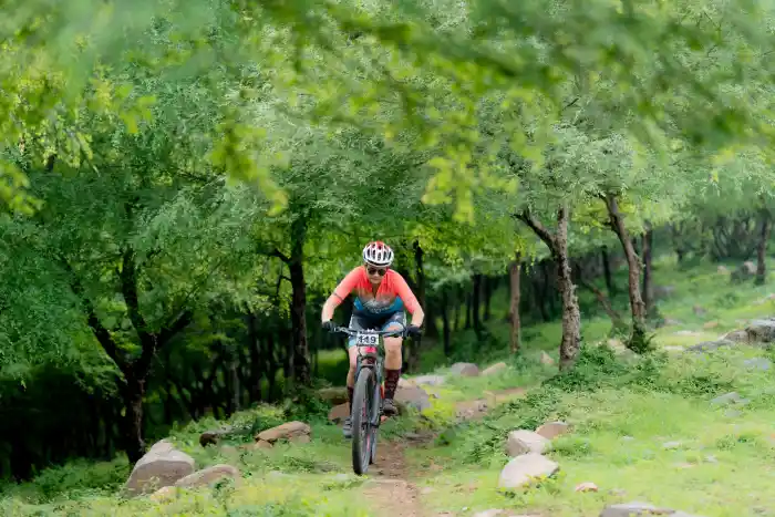 Trail